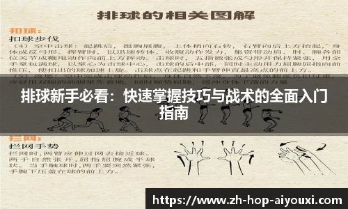 排球新手必看：快速掌握技巧与战术的全面入门指南